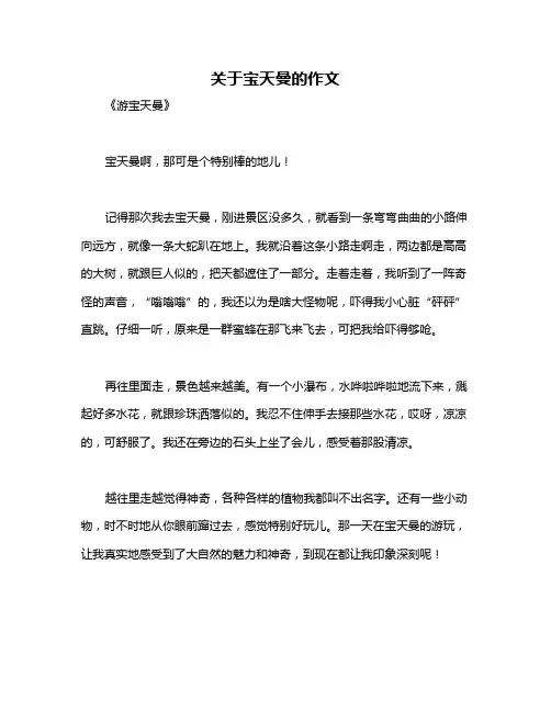 关于宝天曼的作文