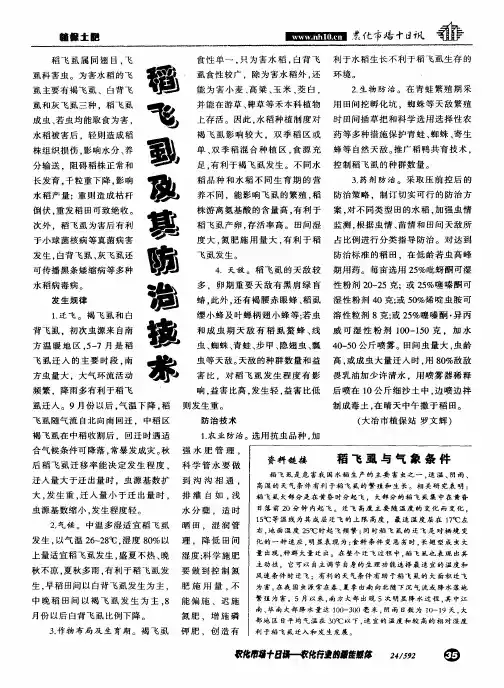 稻飞虱及其防治技术