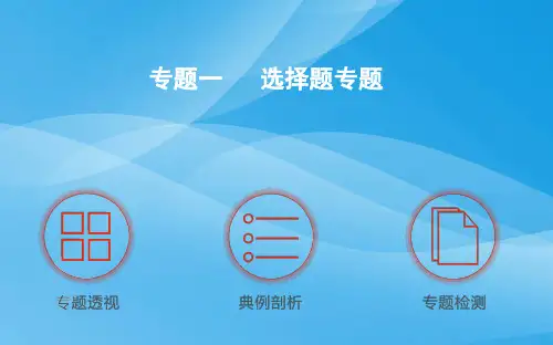 2016年中考物理选择题专题复习课件复习题物理课件PPT