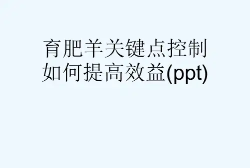 育肥羊关键点控制如何提高效益(ppt)