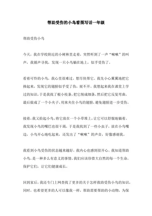 帮助受伤的小鸟看图写话一年级
