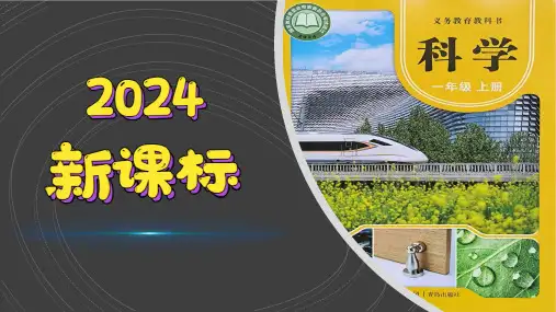 (2024)青岛版科学一年级上册(11)玩彩泥PPT课件