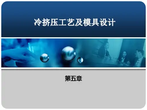 冷挤压工艺和模具设计说明书模板