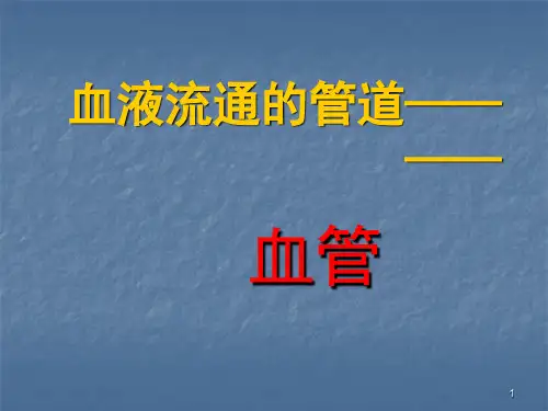 生物血管ppt课件