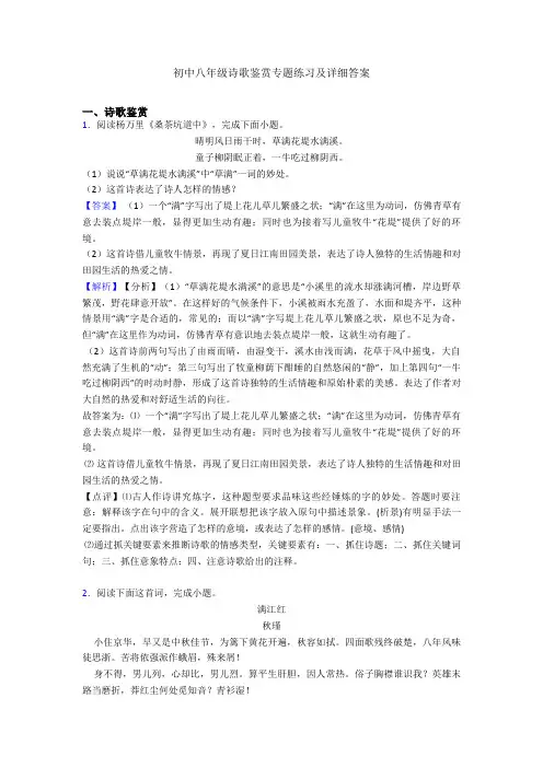 初中八年级诗歌鉴赏专题练习及详细答案