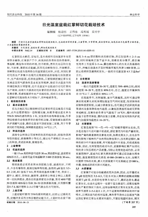 日光温室盆栽红掌鲜切花栽培技术