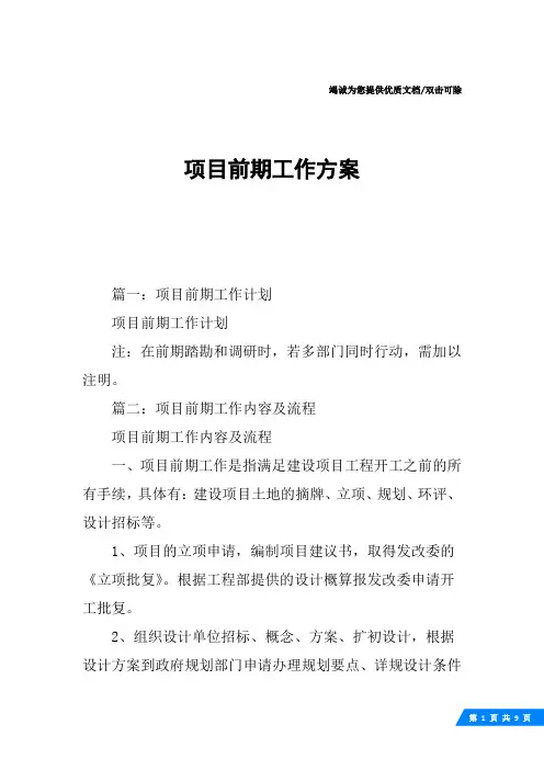 项目前期工作方案