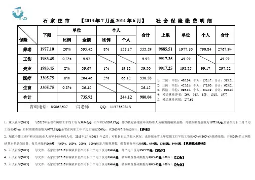 石家庄市2013社保缴费明细表