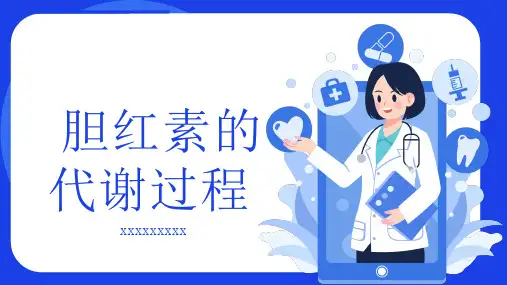 胆红素的代谢过程