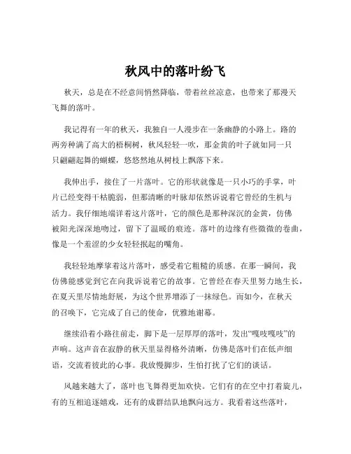 秋风中的落叶纷飞