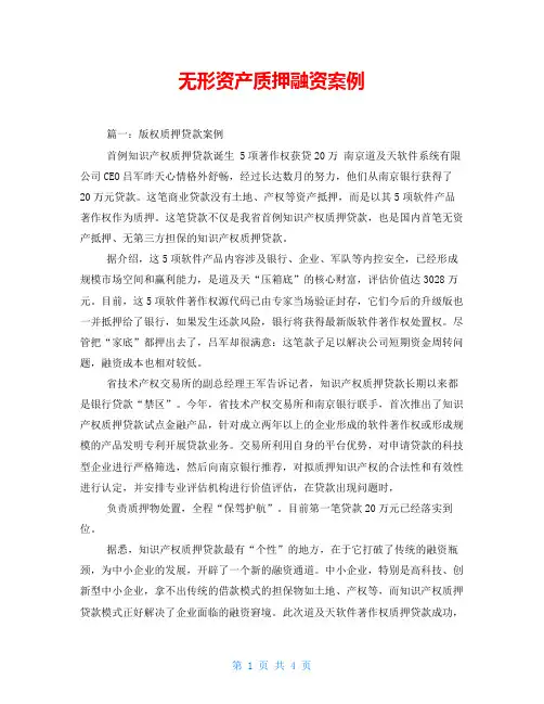 无形资产质押融资案例