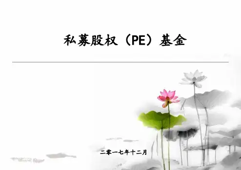 私募股权(PE)基金培训讲解
