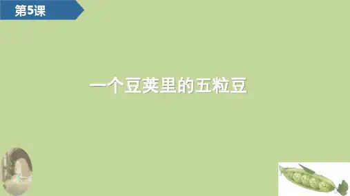 部编版语文四年级上册5一个豆荚里的五粒豆课件(共37张PPT)