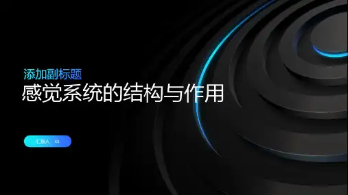 感觉系统的结构与作用