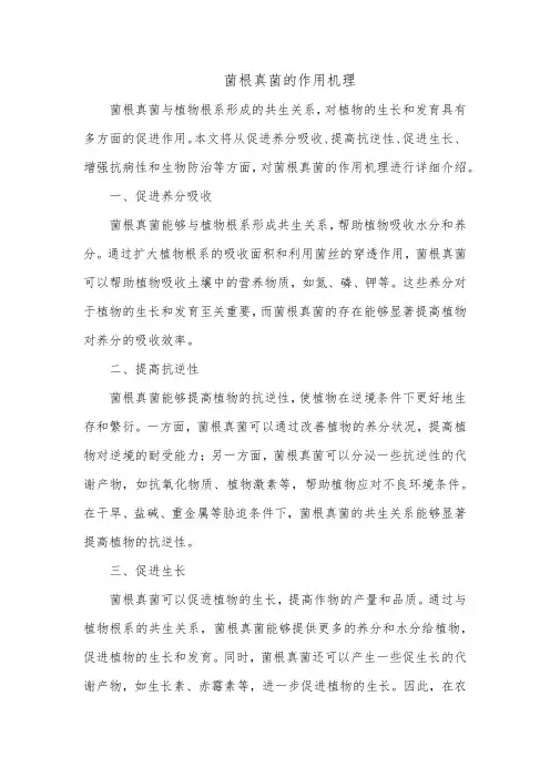 菌根真菌的作用机理