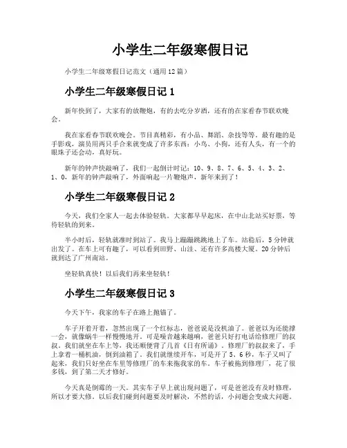小学生二年级寒假日记