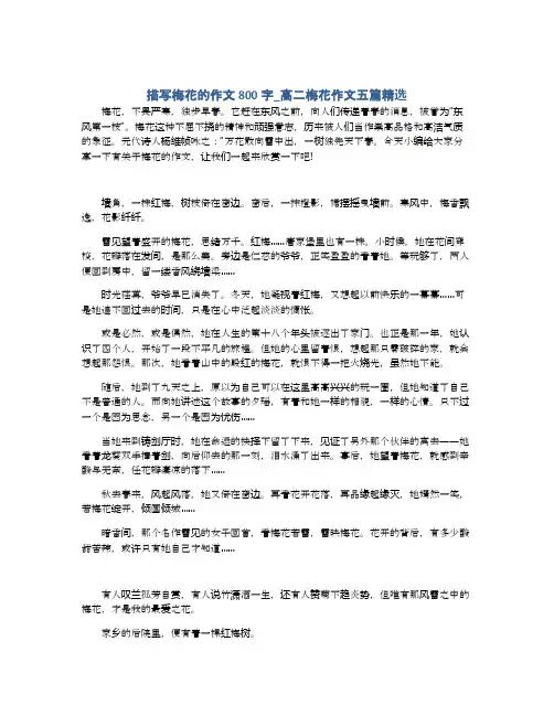描写梅花的作文800字_高二梅花作文五篇精选