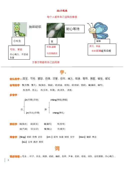 二年级下册部编版22《小毛虫》知识点