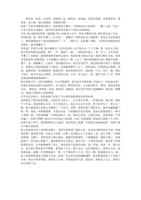 六年级优秀作文：赞美(11篇)