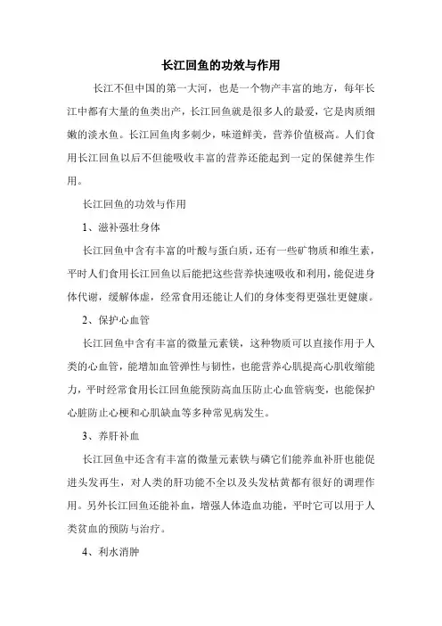 长江回鱼的功效与作用