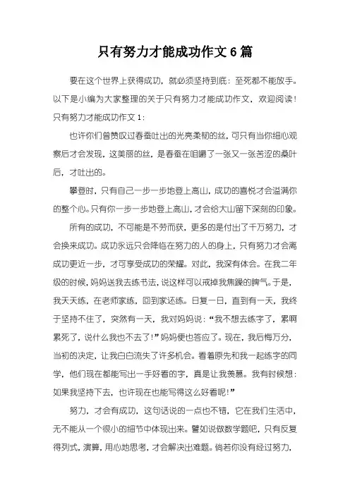 只有努力才能成功作文6篇