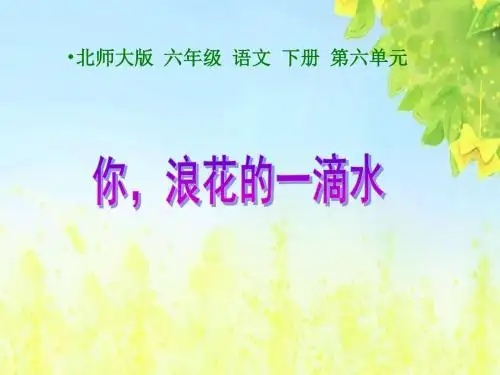 你_浪花的一滴水课件(北师大版语文六年级下册)PPT、优质教学课件