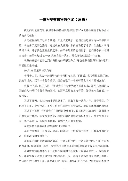 一篇写观察植物的作文(10篇)