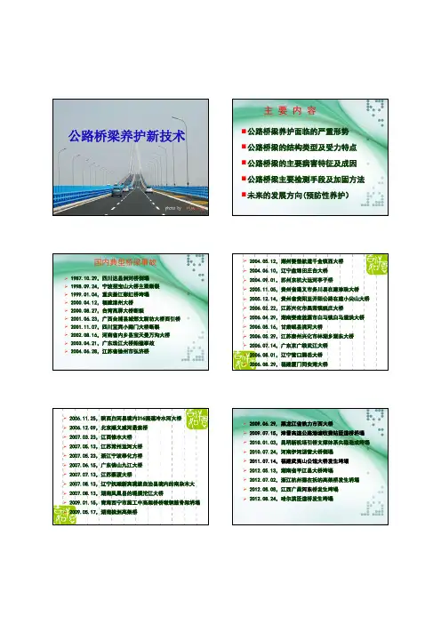8 公路桥梁养护新技术