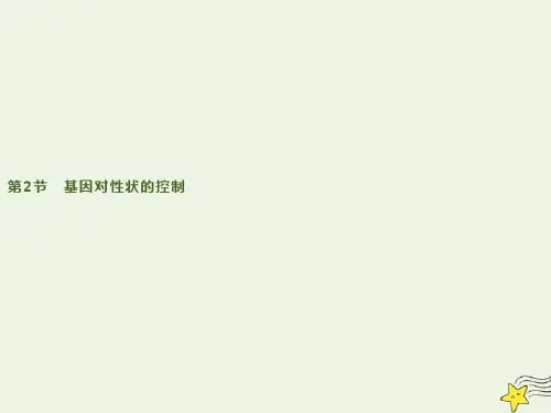 新人教版必修2高中生物第4章第2节基因对性状的控制 