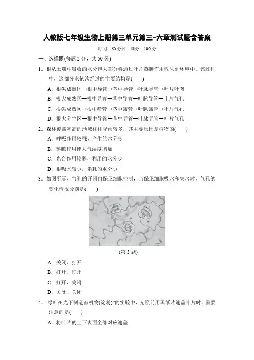 人教版七年级生物上册第三单元第三-六章测试题含答案
