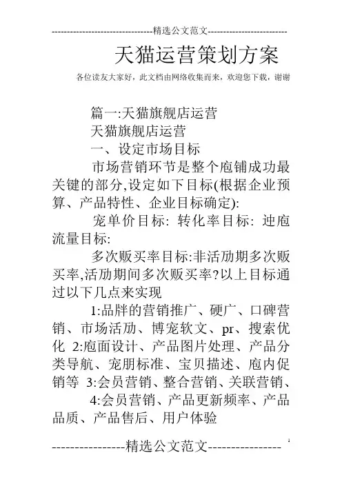 天猫运营策划方案