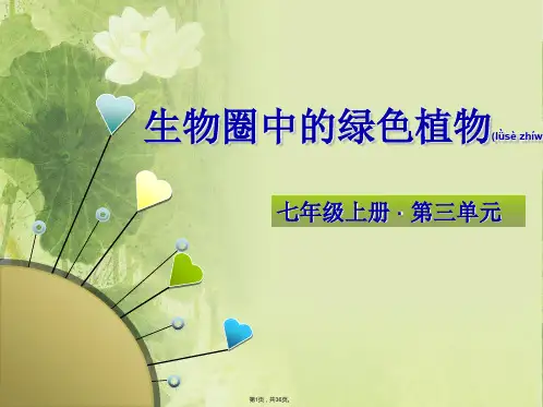 2014生物中考复习专题四-生物圈中的绿色植物(共36张)