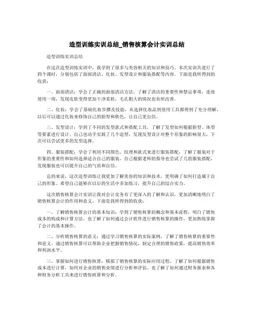 造型训练实训总结_销售核算会计实训总结