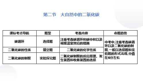 第二节 大自然中的二氧化碳