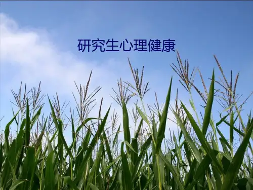 研究生心理健康PPT课件