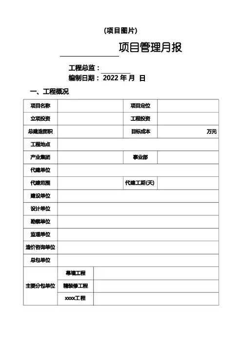 项目工程管理月报