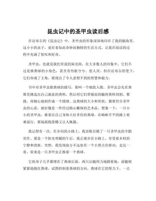 昆虫记中的圣甲虫读后感
