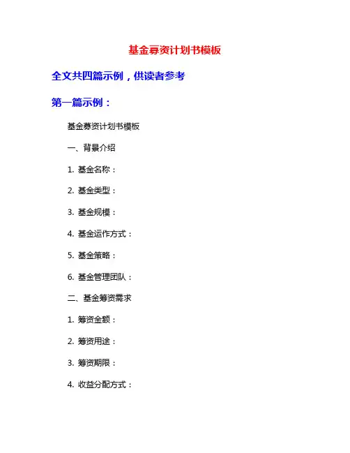 基金募资计划书模板