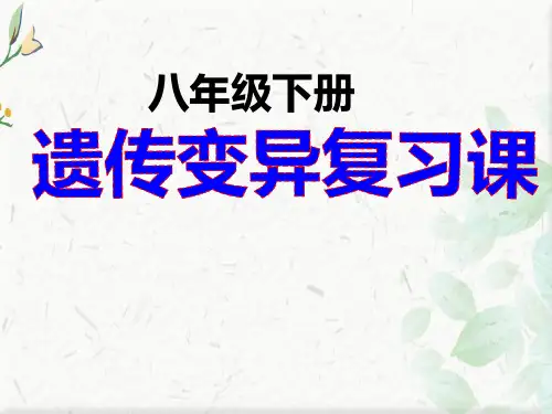 寻找生物的遗传和变异ppt
