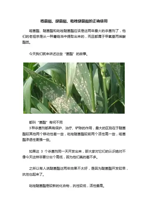 嘧菌酯、醚菌酯、吡唑醚菌酯的正确使用