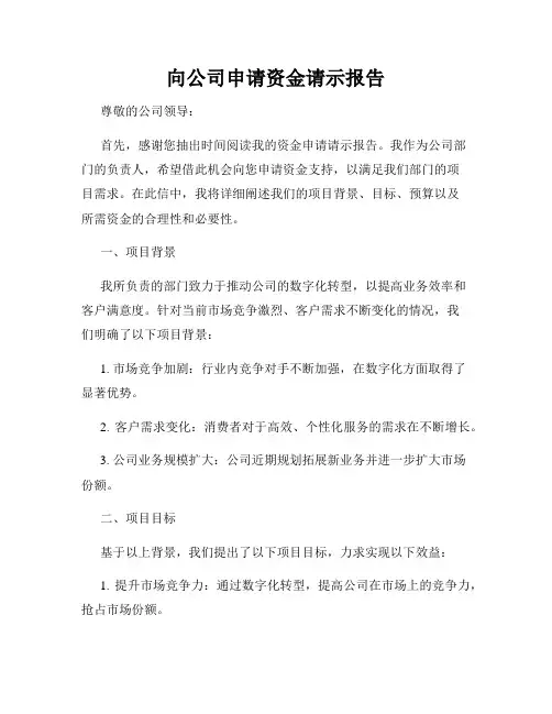 向公司申请资金请示报告