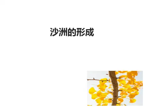 五年级科学下册课件-14沙洲的形成-冀人版(共12张PPT)