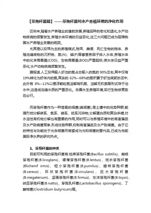 【芽孢杆菌篇】——芽孢杆菌对水产养殖环境的净化作用