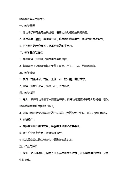 幼儿园教案花生的生长