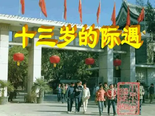 《十三岁的际遇》PPT课件 (共17张PPT)