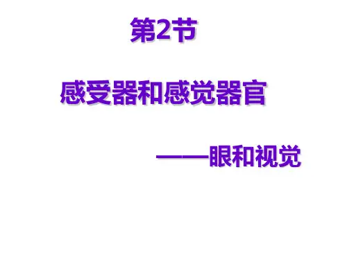 感受器和感受器官(第二课时眼与视觉)
