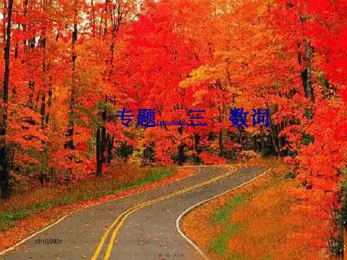 中考英语总复习 专题3 数词课件