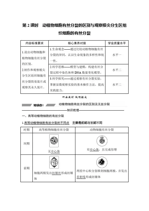 第2课时 动植物细胞有丝分裂的区别与观察根尖分生区组织细胞的有丝分裂