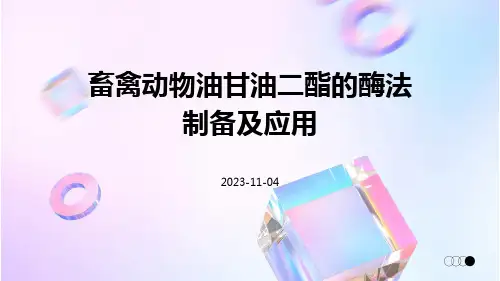 畜禽动物油甘油二酯的酶法制备及应用