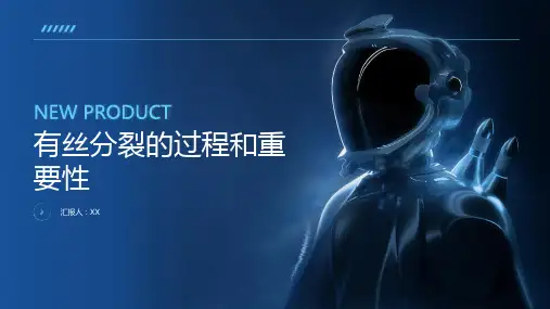 有丝分裂的过程和重要性